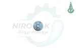 فلنچ موتوژن
